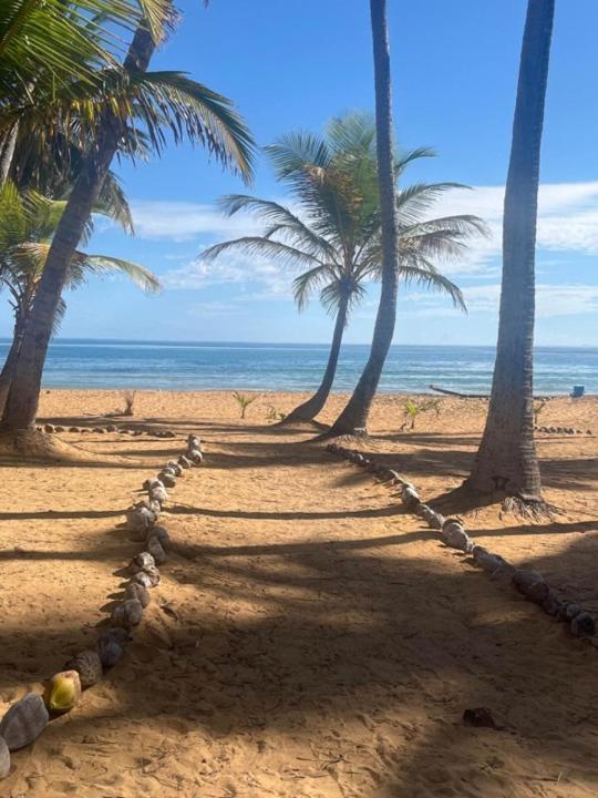 Oceanview Apartment Steps To The Beach Luquillo Zewnętrze zdjęcie