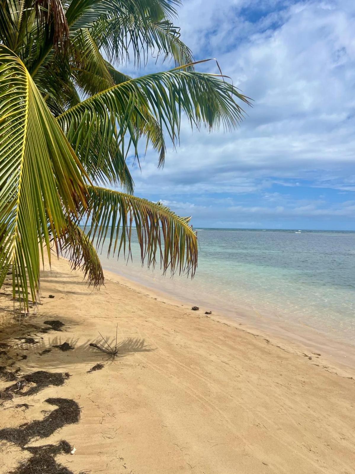 Oceanview Apartment Steps To The Beach Luquillo Zewnętrze zdjęcie